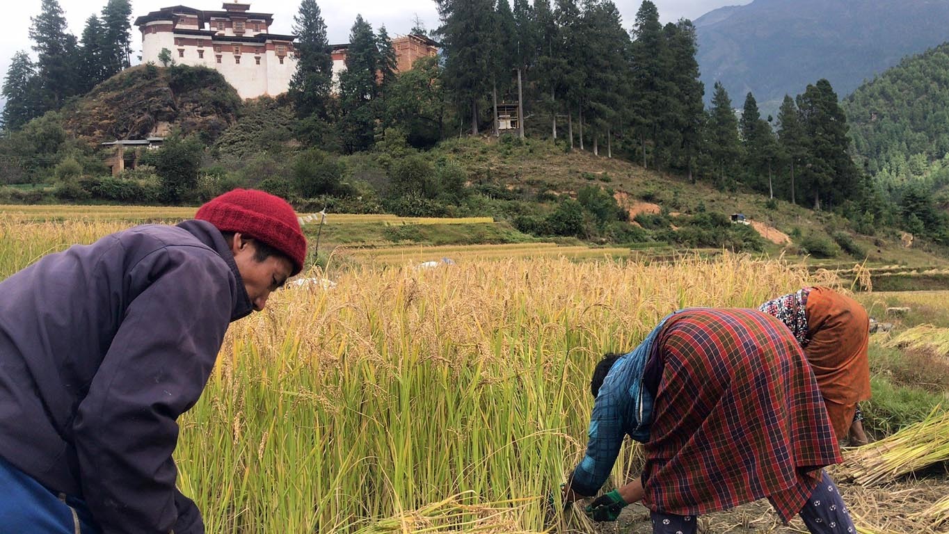 Explore Autumn in Bhutan: Festivals, Trekking, and Culture