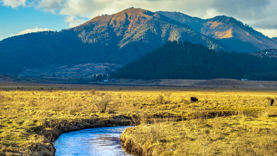 Explore Autumn in Bhutan: Festivals, Trekking, and Culture